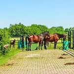 Holiday home 2 Bedroom Awesome In Udenhout