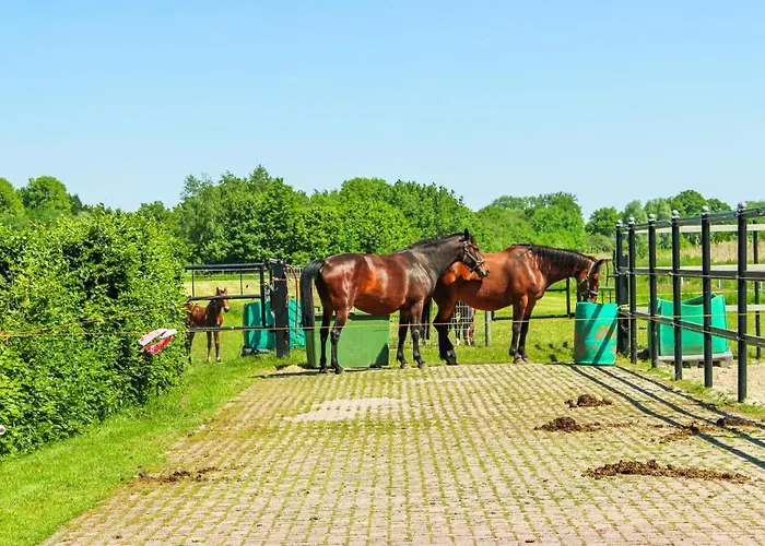 Hébergement de vacances 2 Bedroom Awesome In Udenhout