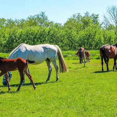 Prázdninový dům 2 Bedroom Awesome In Udenhout