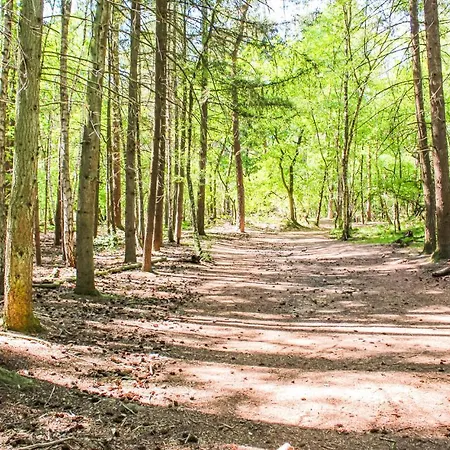 2 Bedroom Awesome In Udenhout