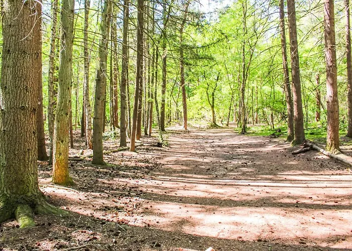 2 Bedroom Awesome In Udenhout